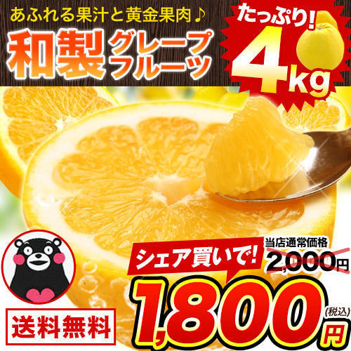 和製グレープフルーツ 河内晩柑 4kg グレープフルーツ 産地直送 河内 晩柑 熊本県産【エコ得】