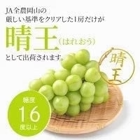 【9月上旬順次発送】送料無料 岡山産 シャインマスカット 晴王 優品2房 800-900g ぶどう【エコ得】【エコ得SALE】