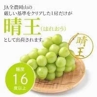 【9月上旬順次発送】送料無料 岡山産 シャインマスカット 晴王 優品2房 800-900g ぶどう【エコ得】【エコ得SALE】