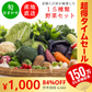 【完売御礼】野菜 おまかせ 15種類 詰め合わせ　送料無料【超シェア買い祭】