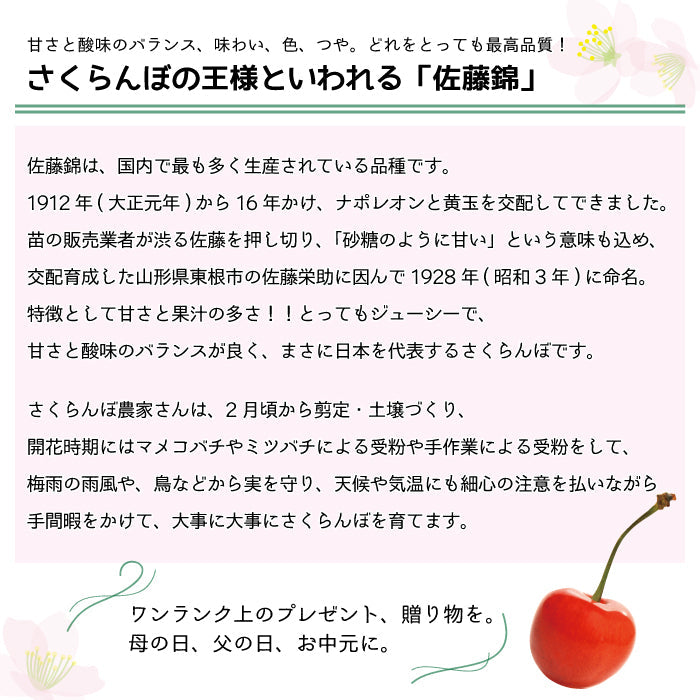 さくらんぼ（佐藤錦）　約1kg（L・2L・ばら詰め）