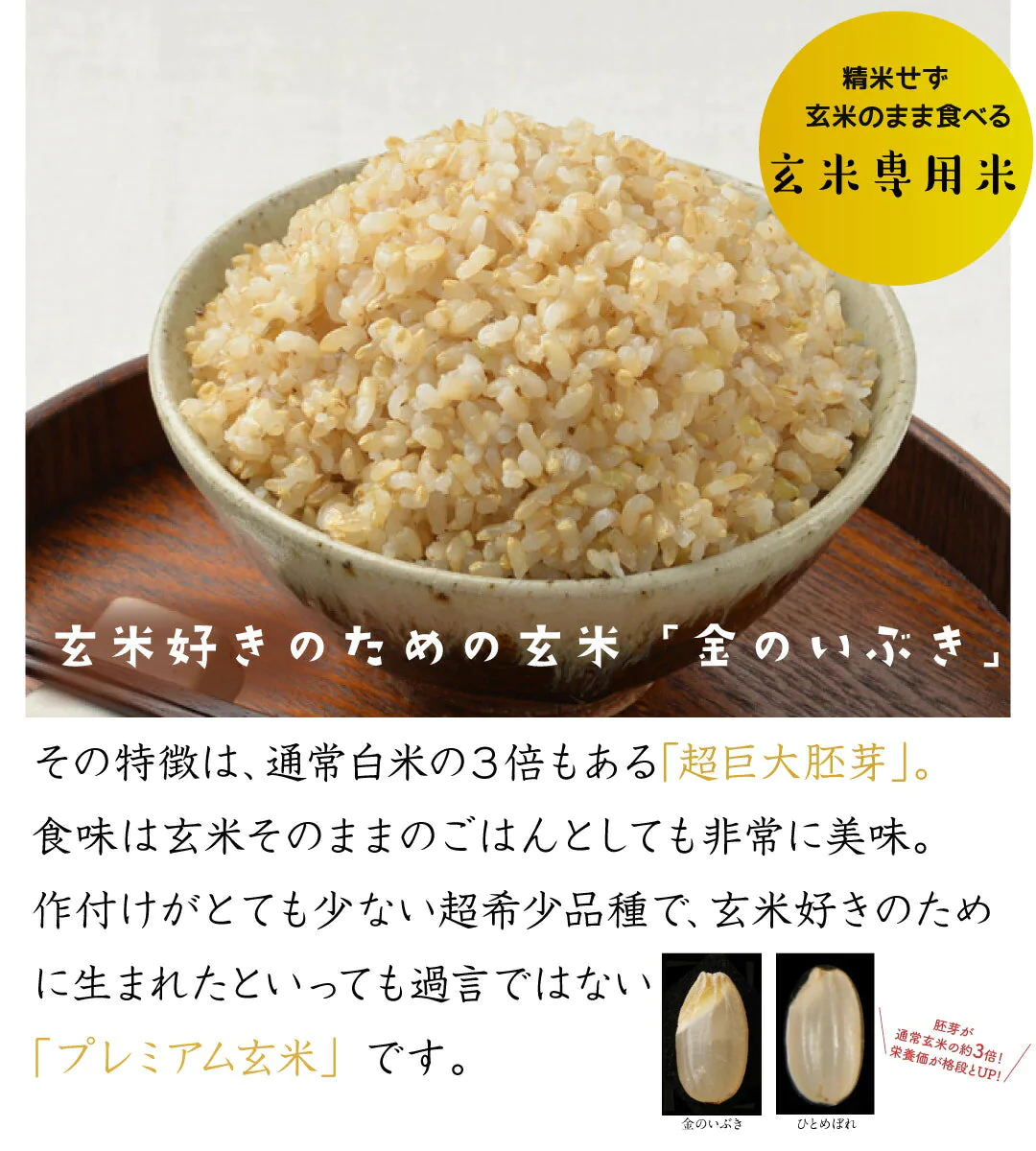 ご飯パック 金のいぶき玄米ごはん 48個セット 120g おくさま印 お米 レトルト 食品 無添加 国産 レンジで簡単 温めるだけ ギフト 引っ越し 挨拶 出産 内祝い 母の日 父の日 お中元 お歳暮 結婚 還暦 寒中 暑中見舞い 送料無料