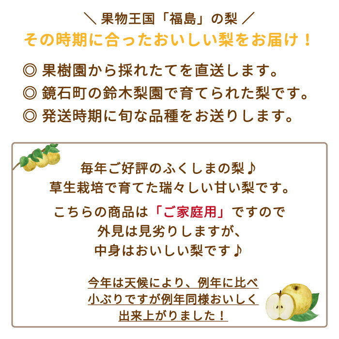 福島県産 梨 5kg  (14個入)贈答用 鏡石町 *