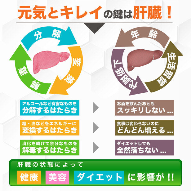 機能性表示食品 スルフォラファン 1袋 ( 60粒 ： １ヶ月分 ) 日本製 国産 ダイエット サプリ ALT値 スルフォラファン スルフォラファングルコシノレート 肝臓 タブレット 野菜 粒 脂肪肝 種 ブロッコリースプラウト サプリ