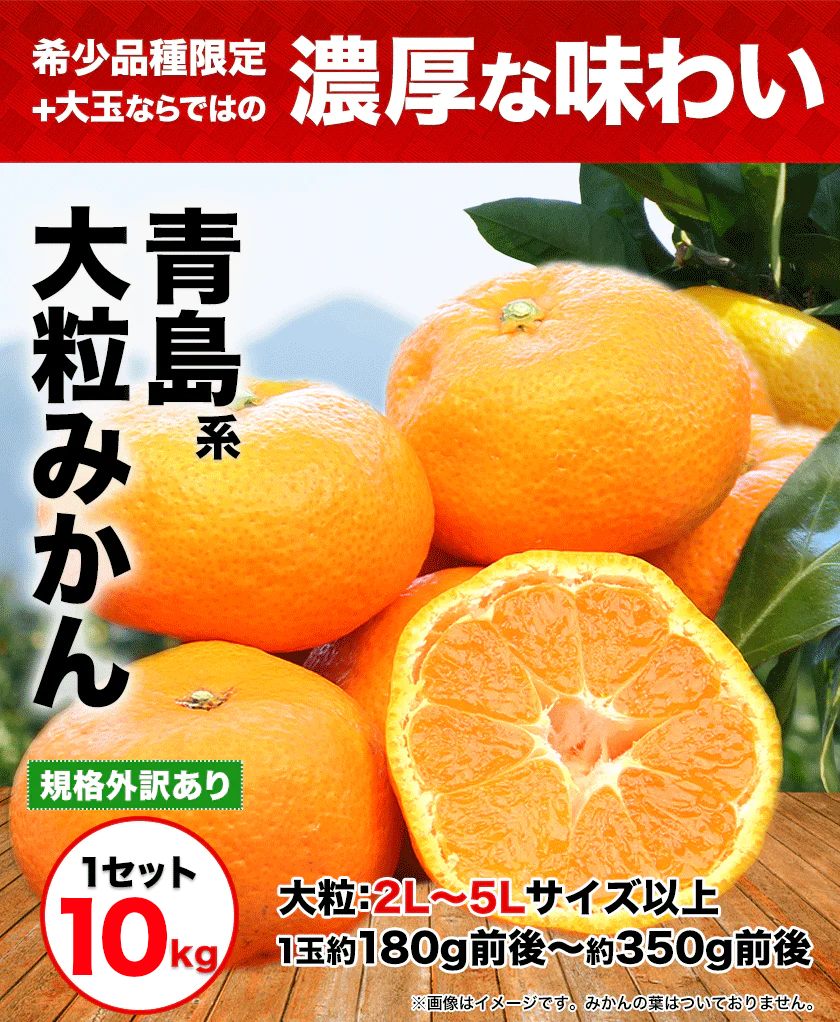 【シェア買いで1,000円OFF!!】大粒 みかん 訳あり 10kg 熊本 送料無料 フルーツ 訳ありみかん 大玉 家庭用 果物 柑橘 箱買い たっぷり10キロ《2月上旬-2月末旬頃より発送予定》