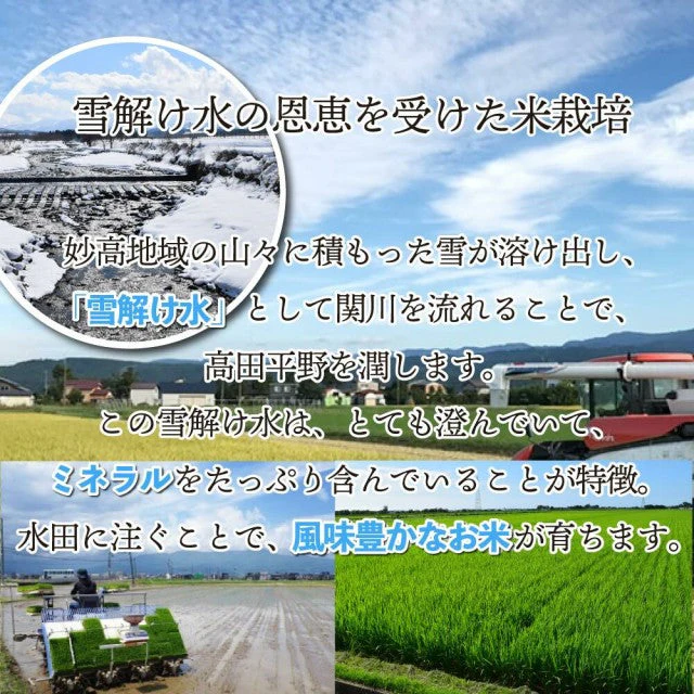 【3人シェア買いでお得】10kg 令和3年産 新潟こしひかり