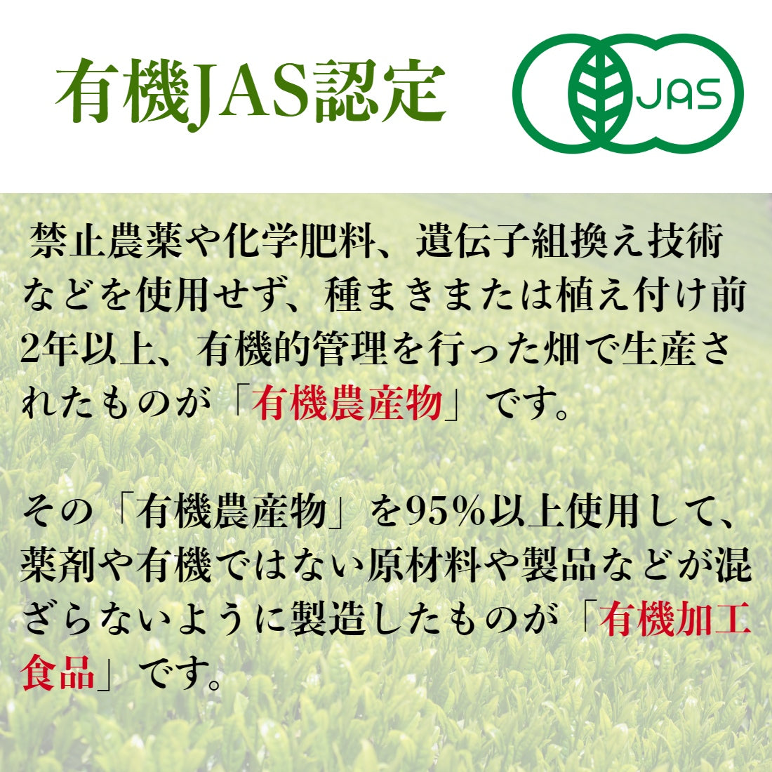 ２袋セット 宇治茶 有機 一番茶 限定茶園で生産された有機緑茶の一番茶のみを使用