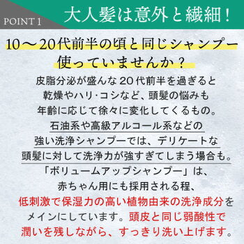 【タイムセール】【詰め替え用】美容室専売品ボリュームアップ シャンプー（500ml詰め替えパウチ）スカルプケア 頭皮環境 サロン専売品 ハホニコ 育毛 女性用 男性用 ユニセックス EARTHEART アースハート