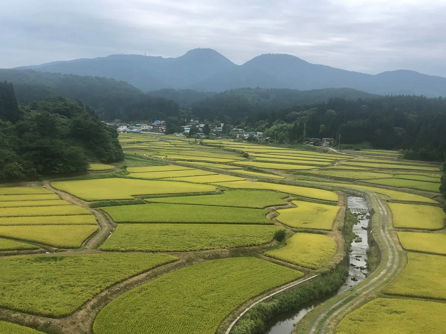 【精米】秋田県産　ひとめぼれ　10ｋｇ 5kg×2袋厳選　1等米米びつ当番【天鷹唐辛子】プレゼント付き選べる精米方法【家計お助けセール】