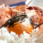 食べるおだし 50g×2パック かつおスライス そのまま食べる鰹節 かつおだし カツオブシ 石原水産 おつまみ メール便送料無料 チャック付 袋入り お取り寄せグルメ 食品 ギフト ポイント消化
