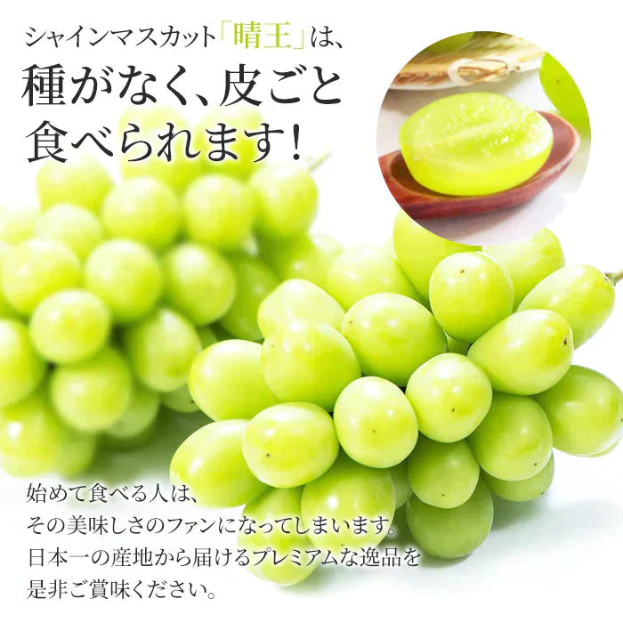 【超得ハイパーSALE】【9月上旬順次発送】送料無料 岡山産 シャインマスカット 晴王 訳あり 1房600グラム ぶどう ギフト お供え プレゼント 贈り物 お土産 シャインマスカット晴王