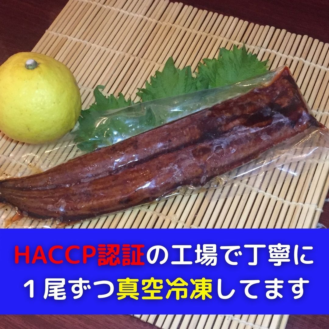 ２尾セット うなぎ真空冷凍 無投薬 インドネシア産 蒲焼