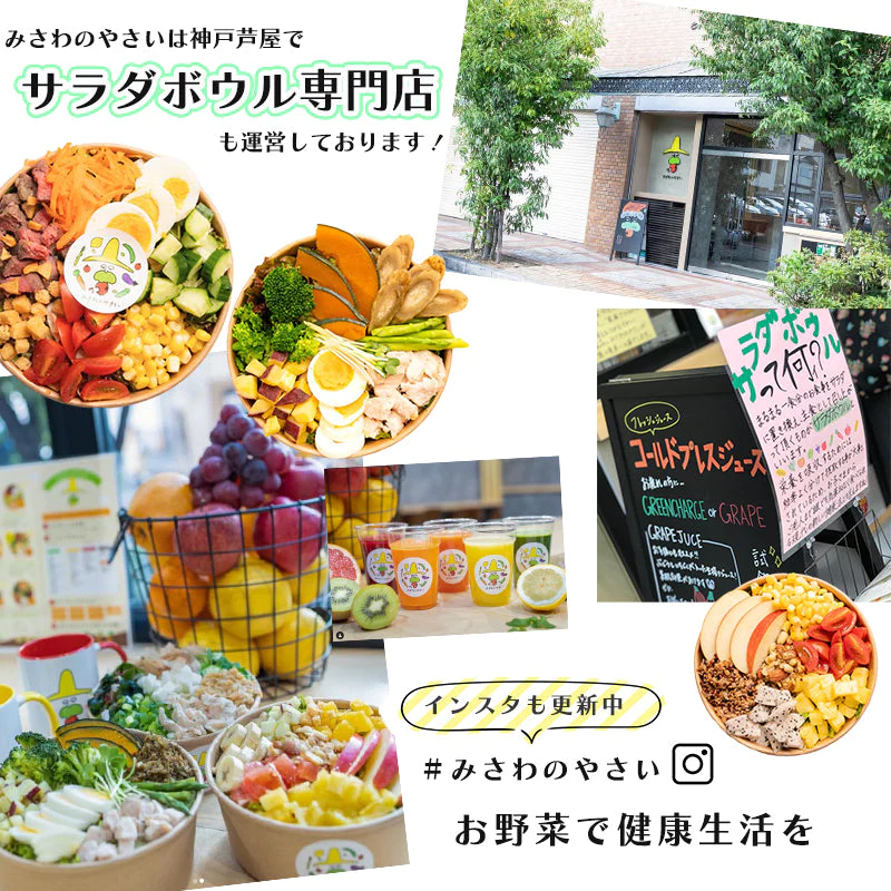 【完売御礼】野菜 おまかせ 15種類 詰め合わせ　送料無料【超シェア買い祭】
