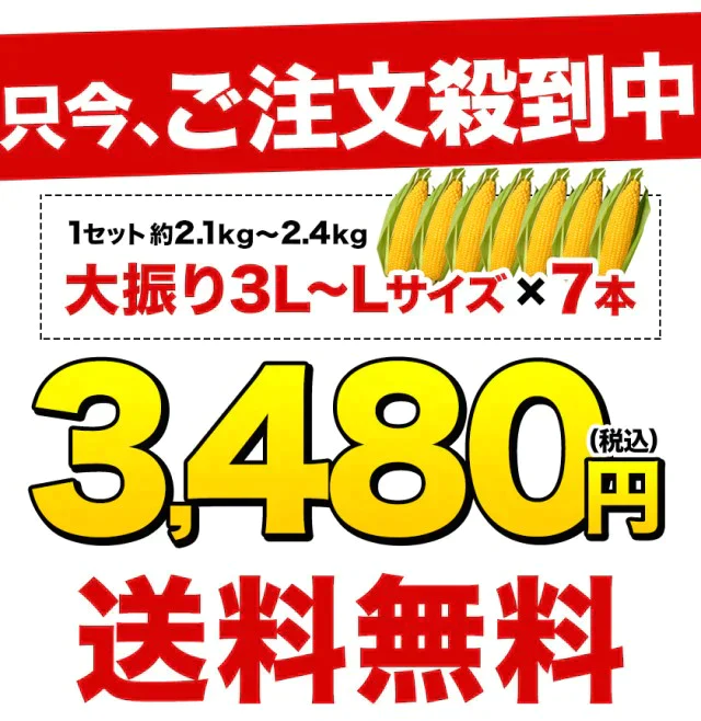 スイートコーン とうもろこし ゴールドラッシュ サニーショコラ 味来 恵味 約1.8kg～約2.4kg 7本入り (3L~L サイズ) 朝採り お取り寄せ お取り寄せグルメ日本最速級《7月中旬〜8月上旬頃より発送予定》
