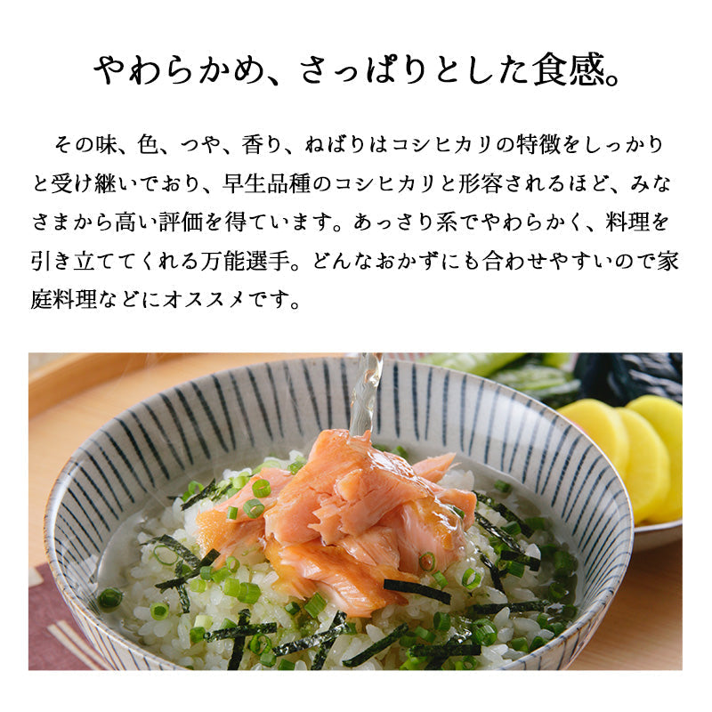 とれたて新米 8kg 新潟県産こしいぶき お米 令和４年産（本州：送料無料