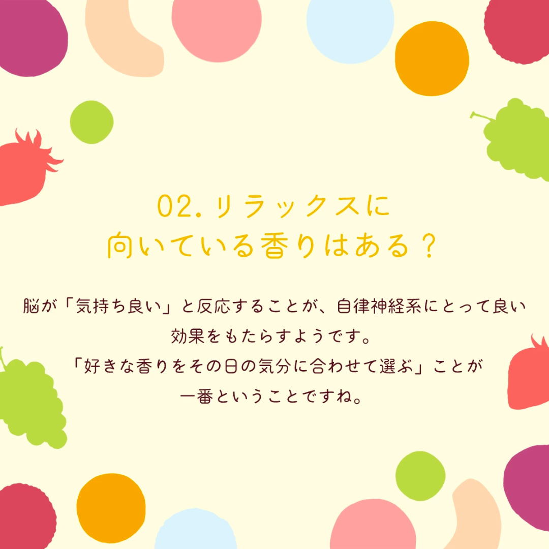 [48点]久順銘茶  白葡萄ジャスミン茶【エコ得リリースSALE】