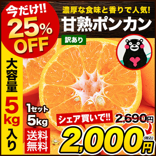 【販売解禁】訳あり 甘熟 ポンカン 5kg 送料無料  甘い みかん ぽんかん デコポン の生みの親 箱買い みかん 柑橘 旬の果物 くまもと風土 熊本県産 みかん【最安値に挑戦】2月上旬-2月末頃より発送予定