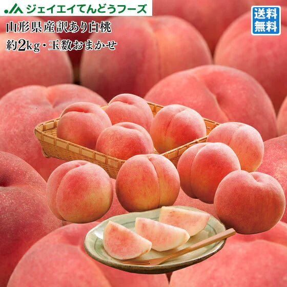 【カウシェうまいもん市場】予約商品 訳あり 山形県産 白桃 品種おまかせ約2kg(玉数おまかせ) ※一部地域は別途送料 果物 8月下旬〜9月上旬発送 フルーツ　pc05