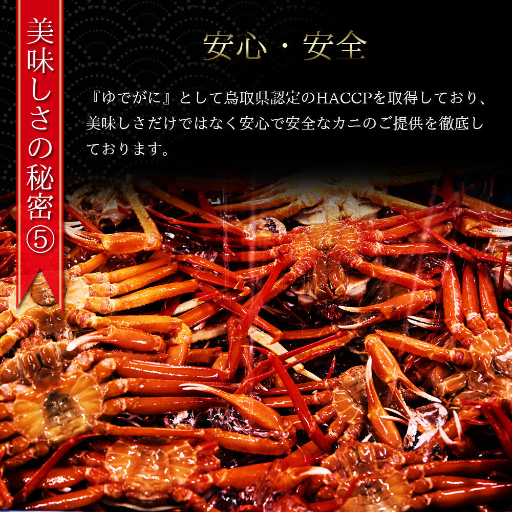 【蟹（かに　カニ）専門店】【境港直送】職人の塩茹で紅ズワイガニ（大）【訳アリ】【600ｇ前後×3枚】