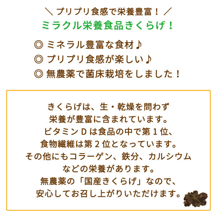 生きくらげ 1箱(500g×1袋入り)『きわみ』常温便 *