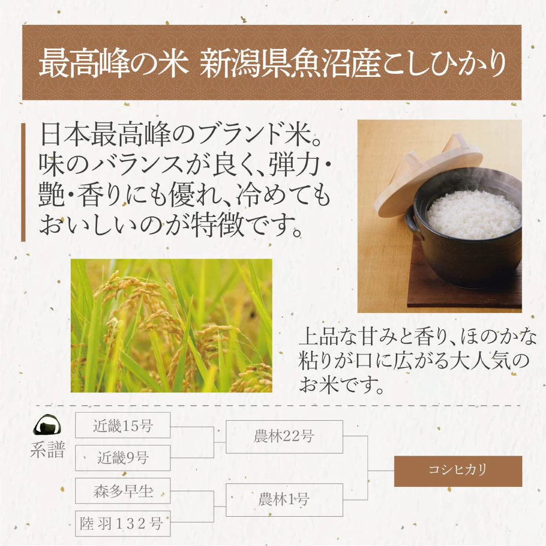 無洗米 新潟県 魚沼産 こしひかり (茶袋) 10kg (5kg×2) 令和5年産 新米 お米 白米 おくさま印 国産 食品 ギフト 引っ越し 挨拶 出産 内祝い 母の日 父の日 お中元 お歳暮 結婚 快気 還暦 香典返し お年賀 送料無料