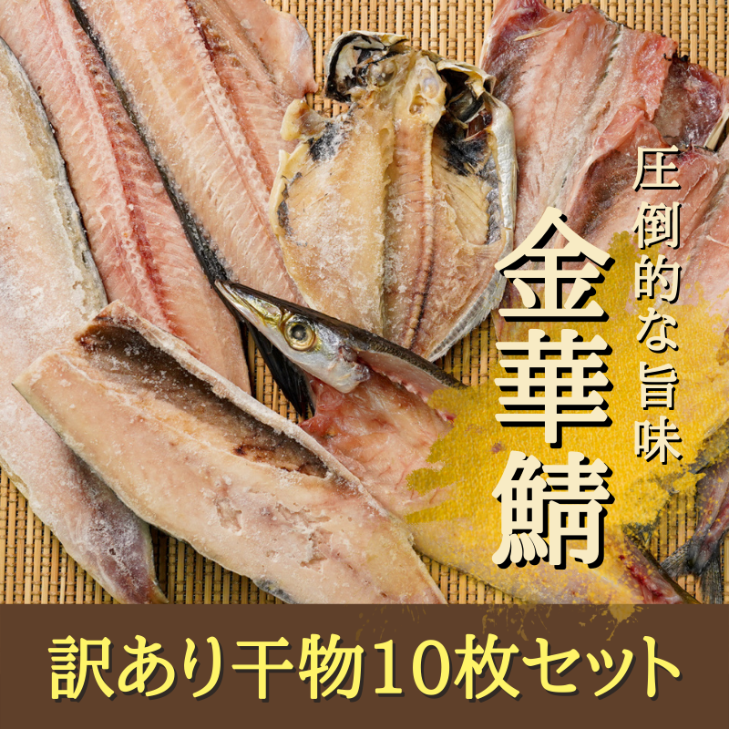 【訳あり】旨味たっぷり金華鯖の干物（10枚セット）　干物　傷あり 訳あり おうちごはん プチ贅沢 無添加 国産  宮城産 グルメ お買得 まとめ買い 海鮮 金華鯖 金華サバ