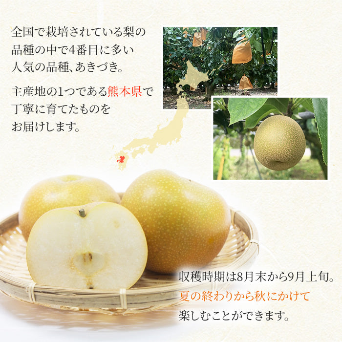 【9月上旬順次発送】送料無料 熊本産 青秀 あきづき 2.5キロ 6-10玉入り