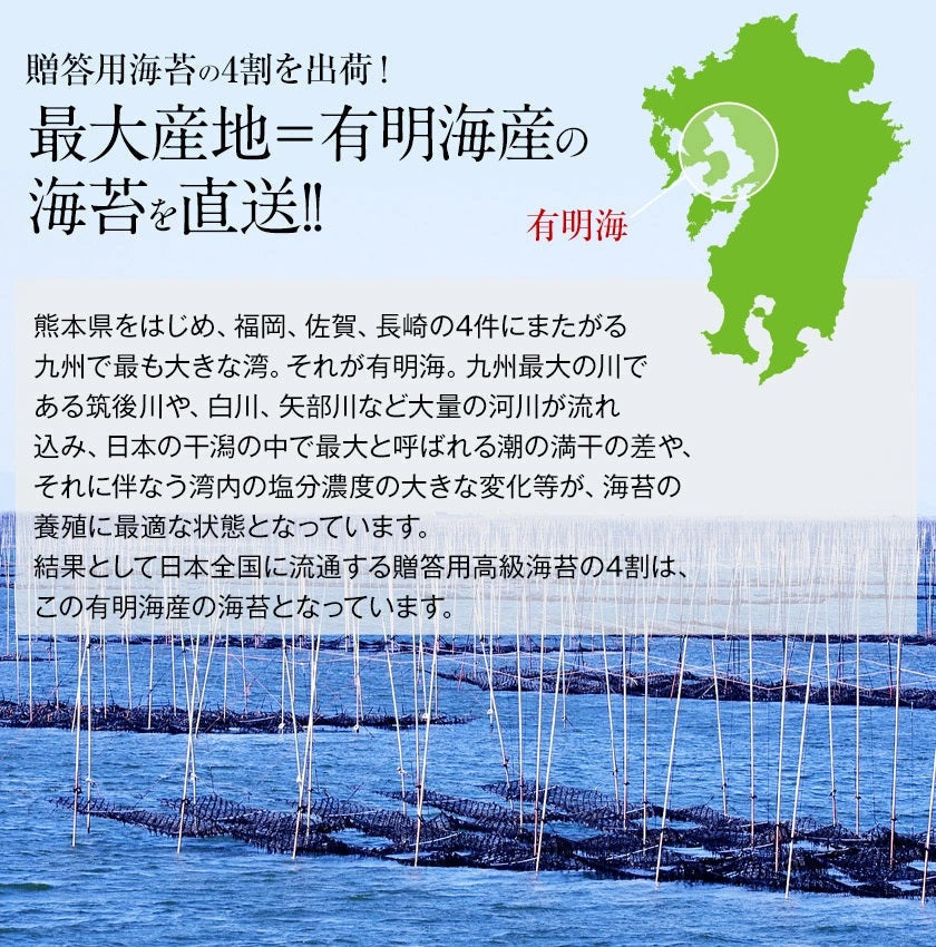 海苔 国産 有明海育ち 香り豊かな 磯の香り のり たっぷり全型30枚入り 送料無料 (半切60枚分に相当) 乾物 乾燥海苔《7-14業日以内に出荷予定(土日祝日除く)》【エコ得リリースSALE】