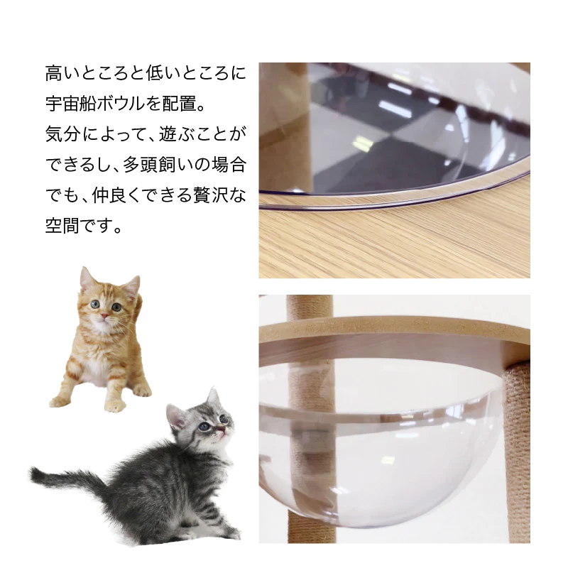 ねこぞくスカイタワー キャットタワー