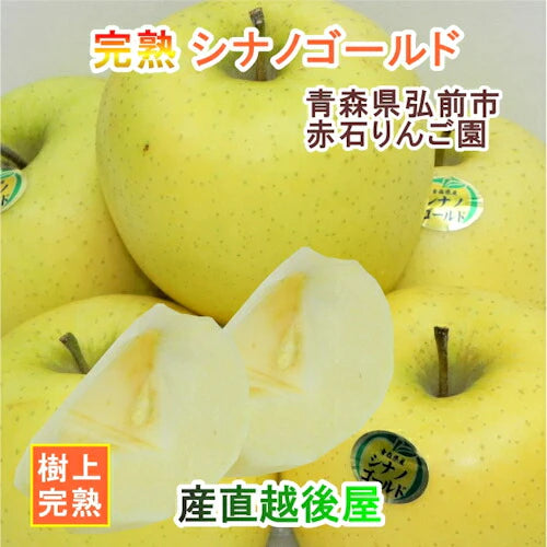 【フルーツ りんご 青森りんご 送料無料】青森県弘前市 赤石りんご園シナノゴールド 2.5kg（6玉～11玉）収穫時の鮮度を保つＣＡ貯蔵りんご【リンゴ 果物 贈答品 ギフト】