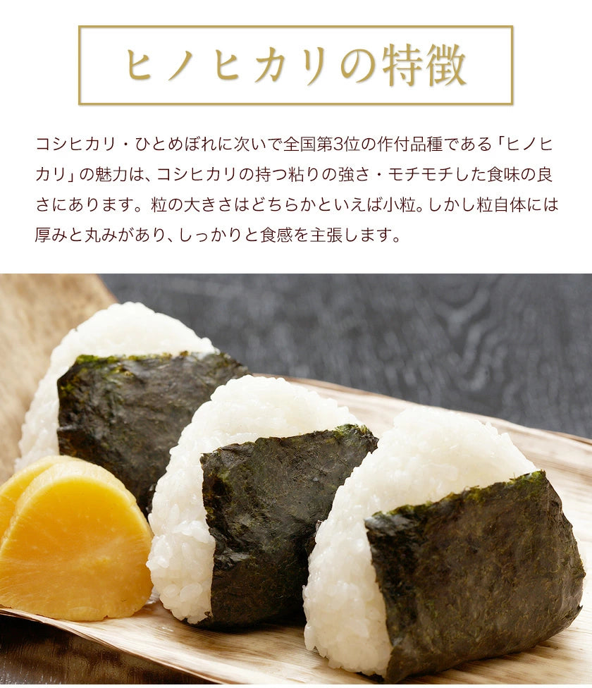 【熊本コレクション】【新米 令和4年産】ひのひかり 米 10kg 送料無料 (5kg ×2袋)【4年産】単一原料米 単一米 米 熊本県産 ヒノヒカリ コメ 精米 白米 《1-5営業日以内に発送予定(土日祝日除く)》