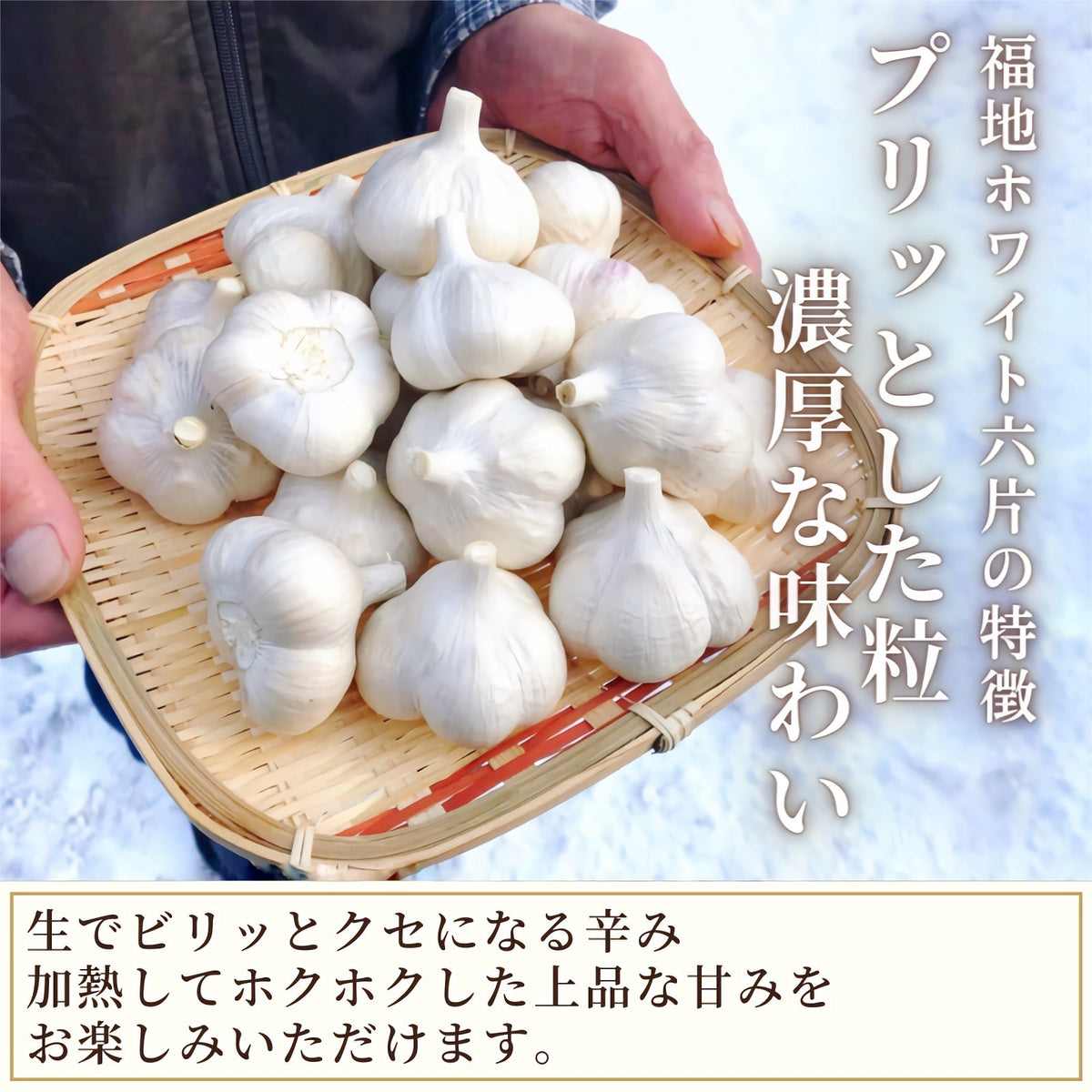 【Mサイズ】乾燥にんにく 青森県田子町産 福地ホワイト六片 約1kg Ｂ品 2022年産 産地直送 送料無料 野菜 香味野菜 健康