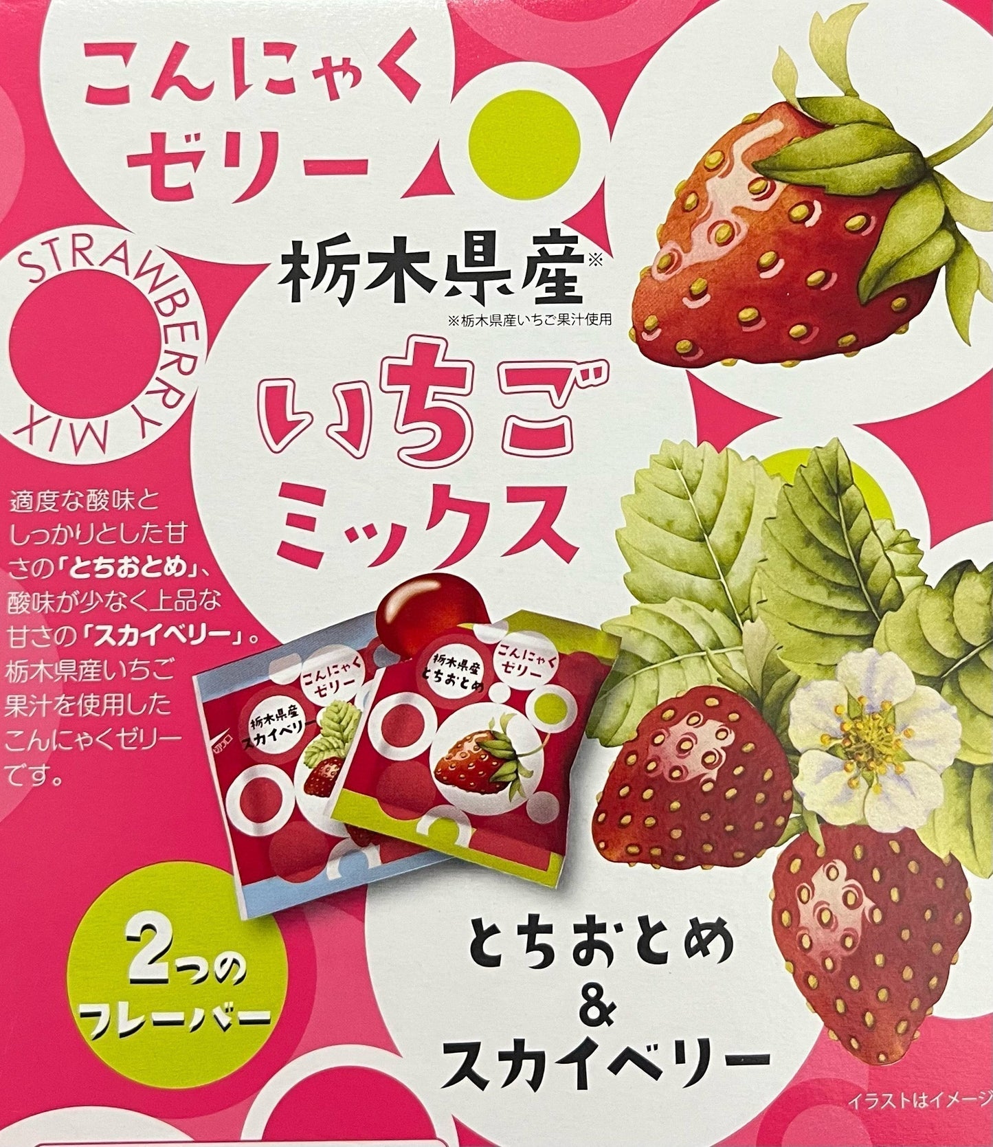 雪国アグリ こんにゃくゼリー 栃木県産 いちごミックス 500g とちおとめスカイベリー