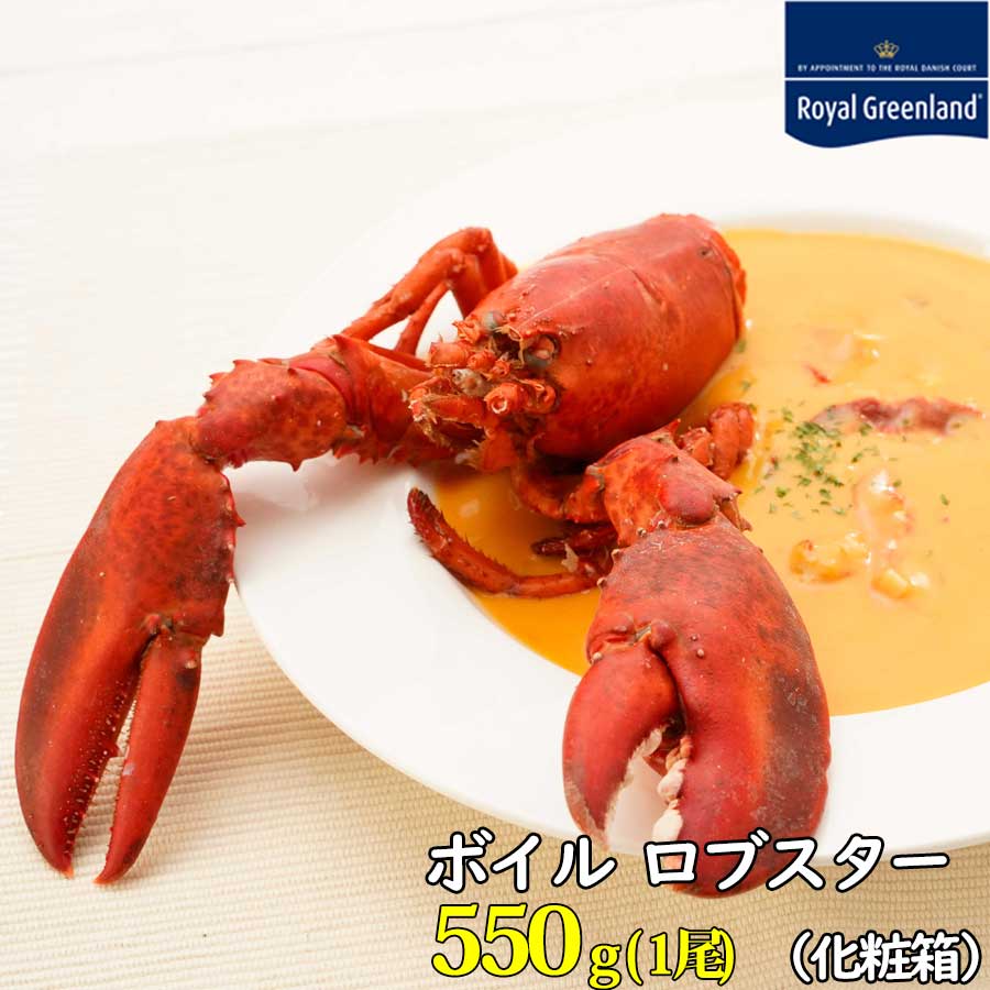 ロブスター オマール海老 ボイル 550g エビ BBQ バーベキュー 贈り物