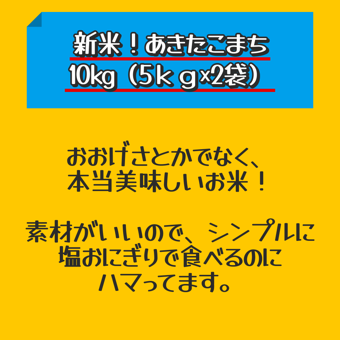 新米！あきたこまち 10kg（5ｋｇ×2袋）家計お助け米 令和4年産【最安値に挑戦】【家計お助けSALE】