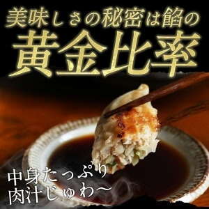 たらふくセット3種80個！ 王さんの手包みジャンボ餃子(ぎょうざ・ギョウザ)20個　ジューシー餃子50個　豚ニラ水餃子10個　中華 ギフト 生餃子　メガ盛り