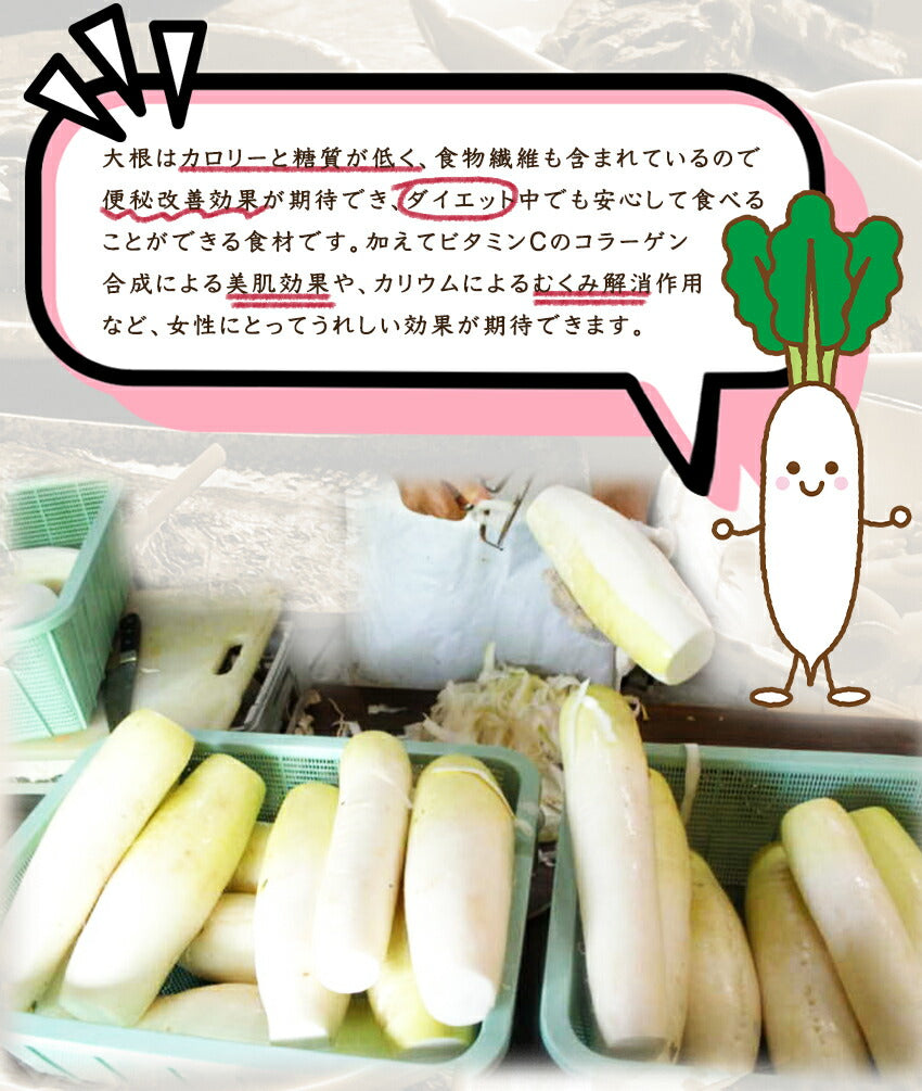 大根の田舎煮(10パック)