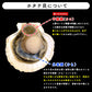 3kg 青森県産活ホタテ