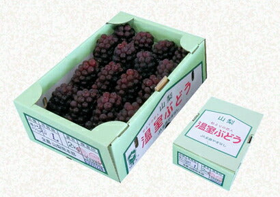 【フルーツ ぶどう ブドウ 送料無料】山梨県 ＪＡフルーツ山梨 組合長推奨 ハウス栽培 デラウェア最高品質 約2kg 16房～17房ＪＡフルーツ山梨から産地直送【果物 贈答品 ギフト】