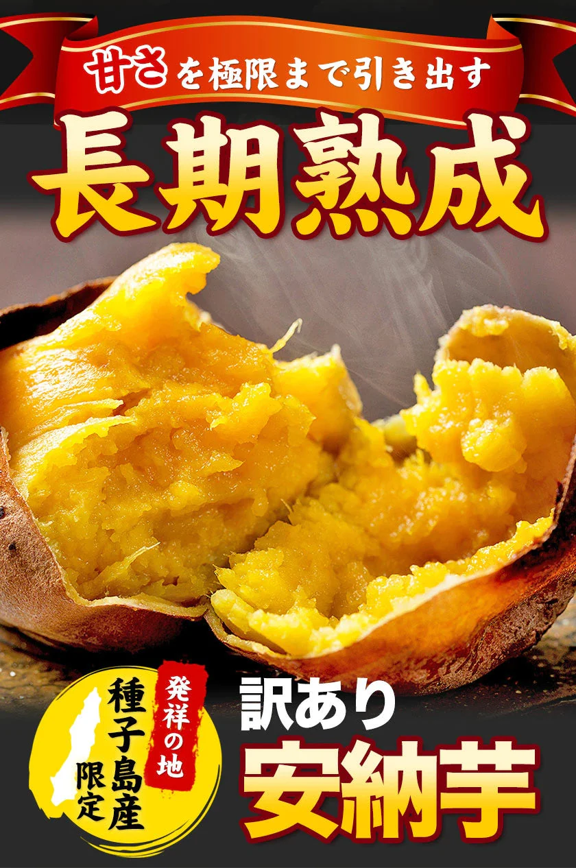 さつまいも 種子島産 訳あり 安納芋 1.5kg 送料無料 長期熟成 お菓子 薩摩芋 さつま芋 あんのういも サツマイモ (サイズ大中小不揃い)焼き芋《3-7営業日以内に発送予定(土日祝日除く)》