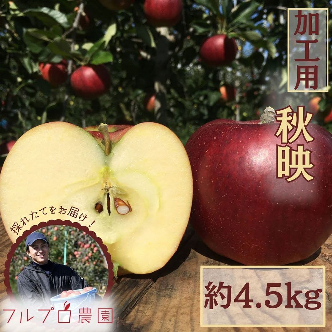 【2023年産予約開始！】秋映 加工用 約4.5kg(12-28玉) 9月下旬頃発送開始予定 #YAA0K045