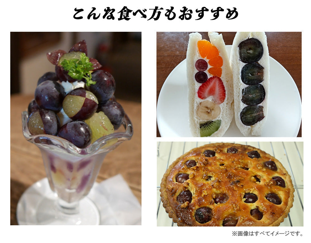【予約販売 7月27日より順次出荷】ピオーネ 1kg 送料無料 1-2房前後 ぶどう ブドウ 葡萄 フルーツ くだもの 果物 産地直送 鹿児島県産 ngs-002