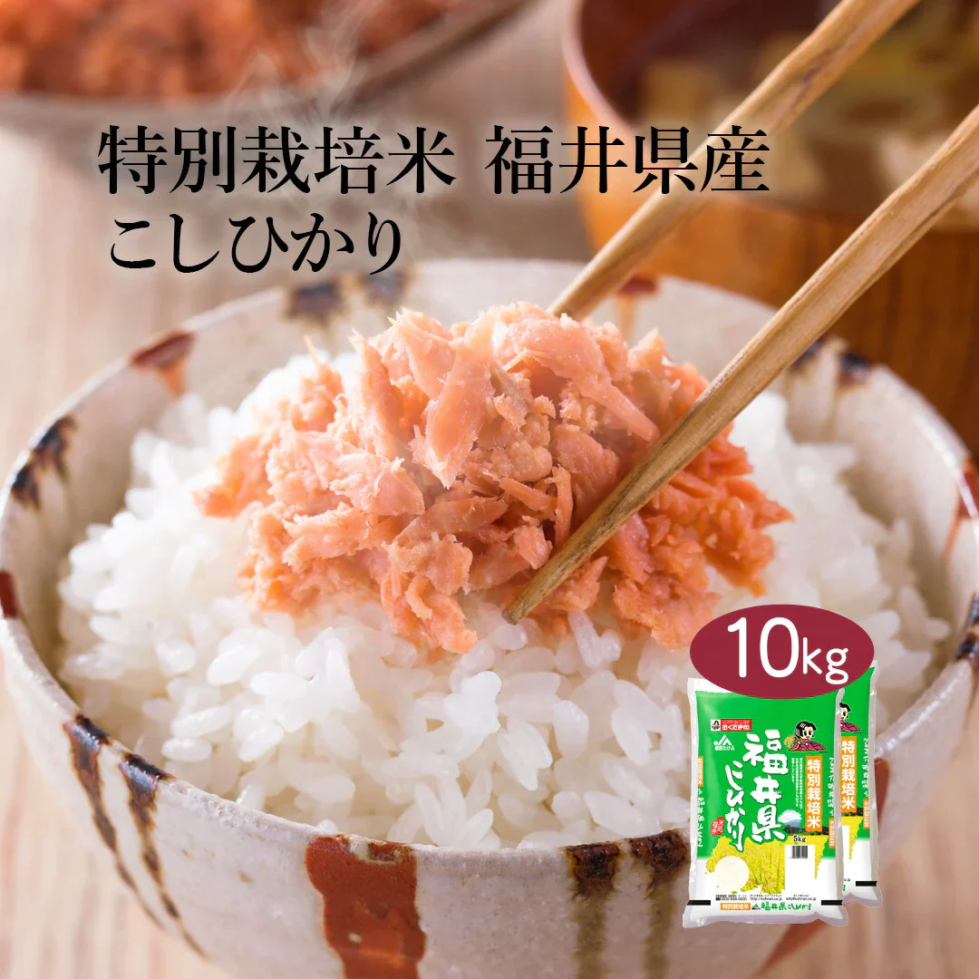 米 精米 福井県産 特別栽培米 こしひかり 10kg (5kg×2) 令和5年産 新米 お米 白米 おくさま印 国産 食品 ギフト 引っ越し 挨拶 出産 内祝い 母の日 父の日 お中元 お歳暮 結婚 快気 還暦 香典返し お年賀 送料無料