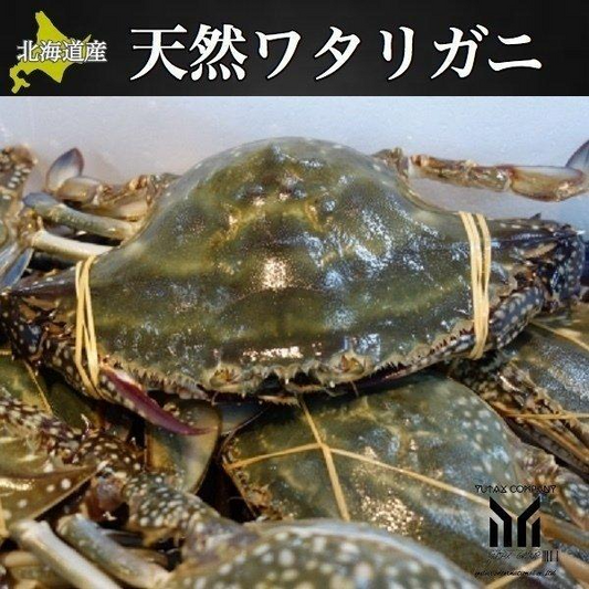 北海道産 内子入り　ワタリガニ  2㎏