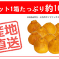 不知火 (デコポン) 訳あり 10kg 送料無料 ご家庭用 箱買い サイズミックス みかん 柑橘 フルーツ 果物 産地直送 愛媛県産 YDF-012