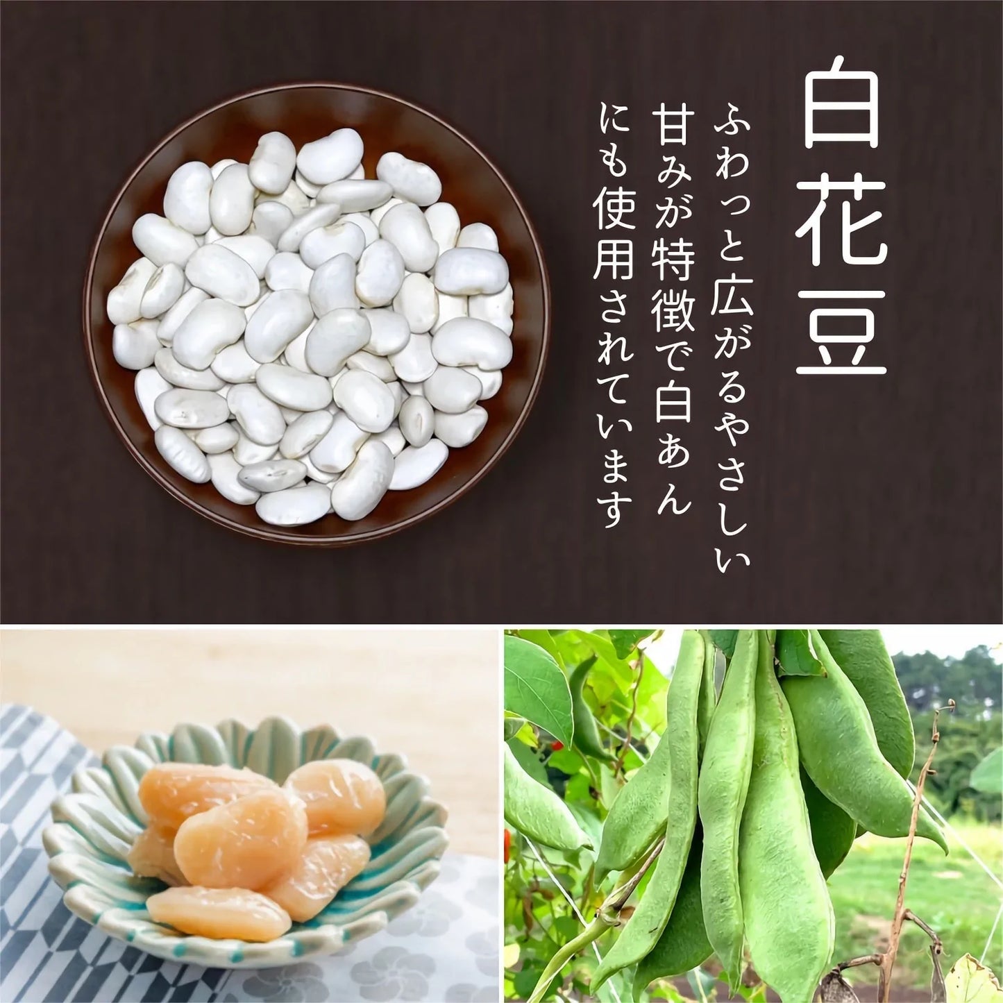 【厳選した豆を食べ比べ】７種の乾燥豆セット 計700ｇ（各100ｇ）農薬・化学肥料不使用 2022年産 青森県産 厳選 産地直送 送料無料 お試し 健康 ヘルシー