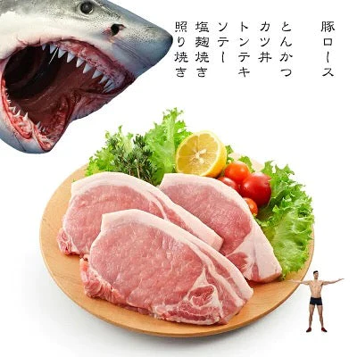 豚ロース 13kg 100g×10枚×13 トンカツ トンテキ カツ丼 生姜焼き 甘辛焼 送料無料 冷凍
