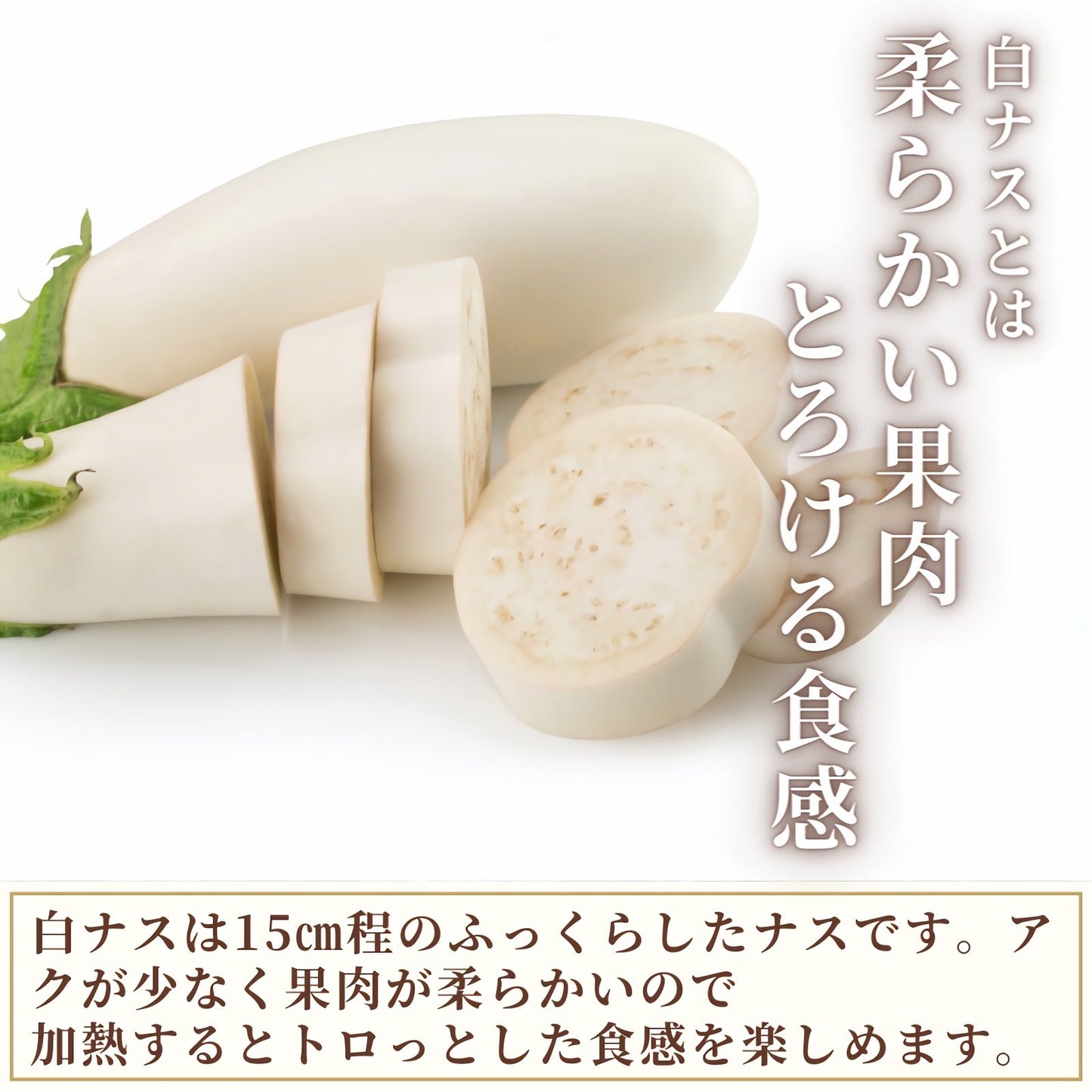 【トロッと食感】白ナス 6本 サイズ混合 期間限定 青森県産 産地直送 2022年産 送料無料 野菜 国産 なす