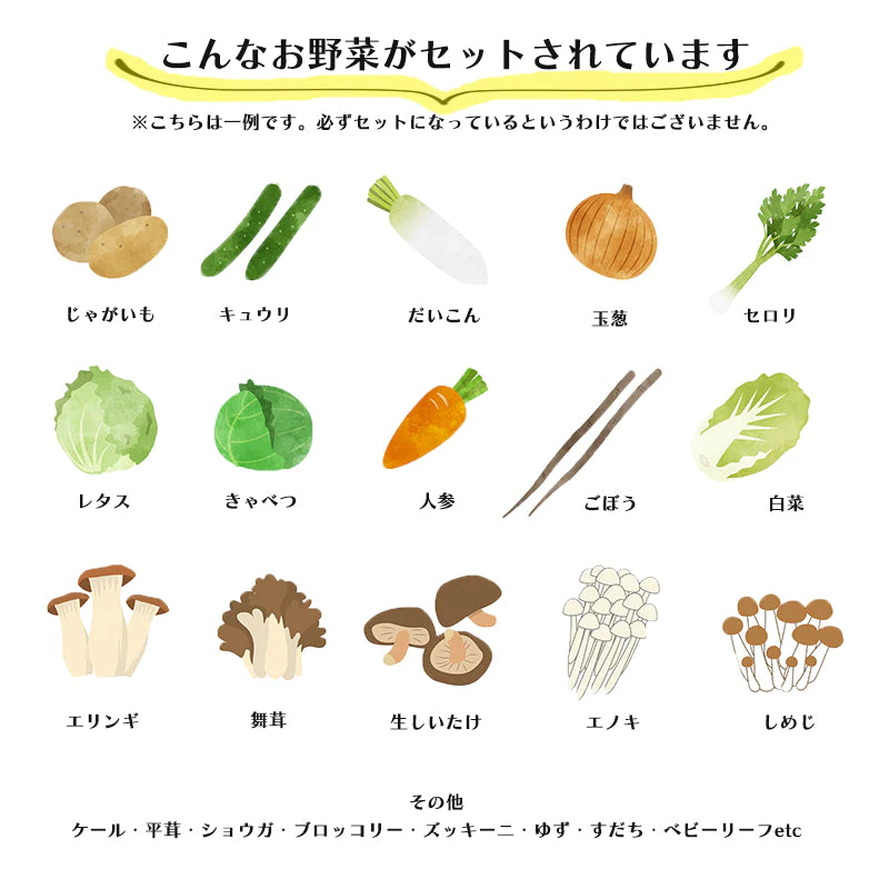 【完売御礼】野菜 おまかせ 15種類 詰め合わせ　送料無料【超シェア買い祭】