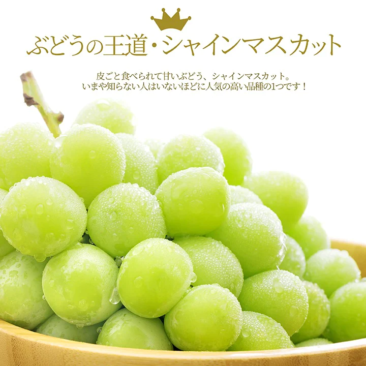 【9月下旬発送】シャインマスカット 秀品 2房（1房約700g以上） 秀品 化粧箱入 産地直送 山形県産 お年賀 ギフト 同梱不可 熨斗ＯＫ 大粒 ギフト 送料無料 果物 誕生日